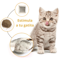 TENDENCIA: PEZ SALTARÍN RECARGABLE